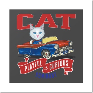 Humor funny white kitty cat driving a vintage classic car to a retro parade with red white and blue flags Posters and Art